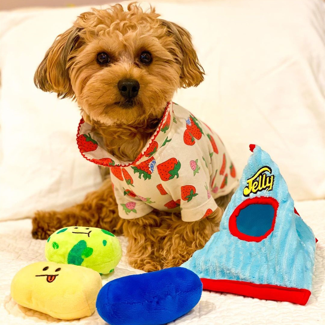 rileytheyorkiepooh 1- 1080w_副本