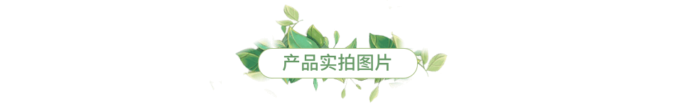 描述实拍图1
